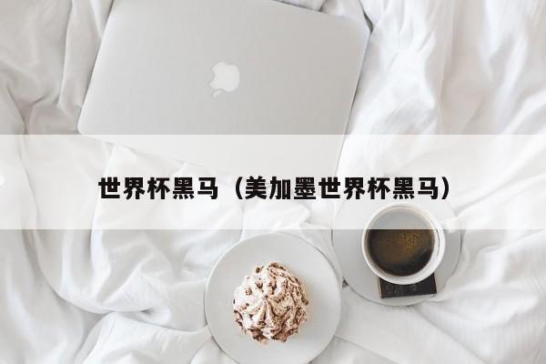 世界杯黑马（美加墨世界杯黑马）